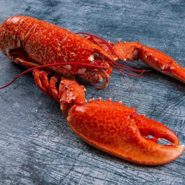 Jack Sprats — Appledore café & bistro